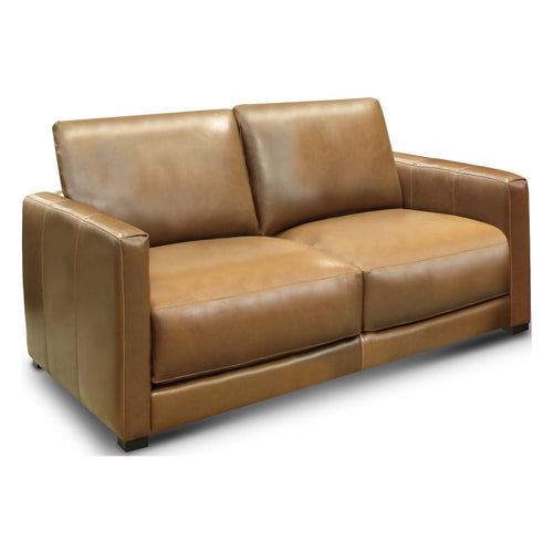 GTR Leather Raffa 100% Top Grain  Contemporary Loveseat Sofa