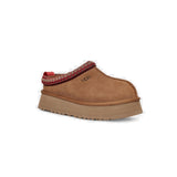Tazz (Chestnut) 2