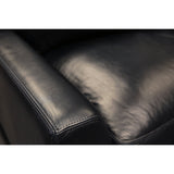 GTR Leather Skyline 100% Top Grain  Modern Americana Armchair 3